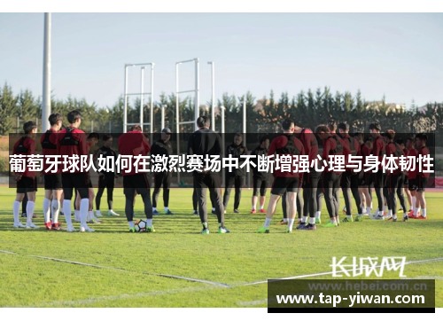 葡萄牙球队如何在激烈赛场中不断增强心理与身体韧性