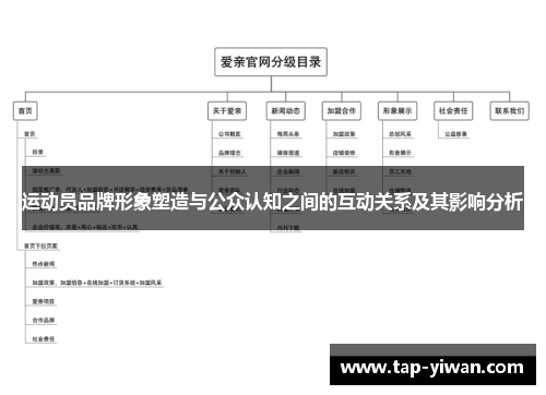 运动员品牌形象塑造与公众认知之间的互动关系及其影响分析